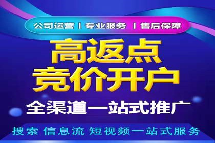 百度竞价广告在电商行业的实战应用案例