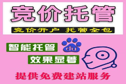 SEM竞价案例深度解析：广告主如何盈利